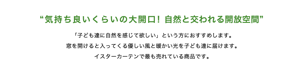 気持ち良いくらいの大開口！自然と交われる開放空間